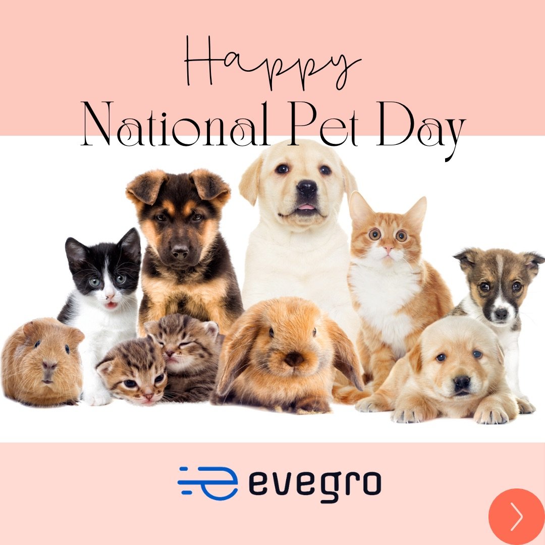Anything is pawsible🐾 with a pet🐶 by your side.
Happy National Pet Day 🐩
.
#nationalpetday #happynationalpetday #Evegro #EvegroNOW #homedelivery #bhubaneswar #Evegro4U