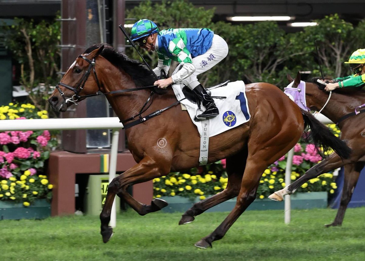 Rapt to see @zpurton bring up 1700 @HKJC_Racing Winners on my old horse Copartner Prance ! A 3 time trial winner for us in Sydney when known as Brave Knight #giddyup