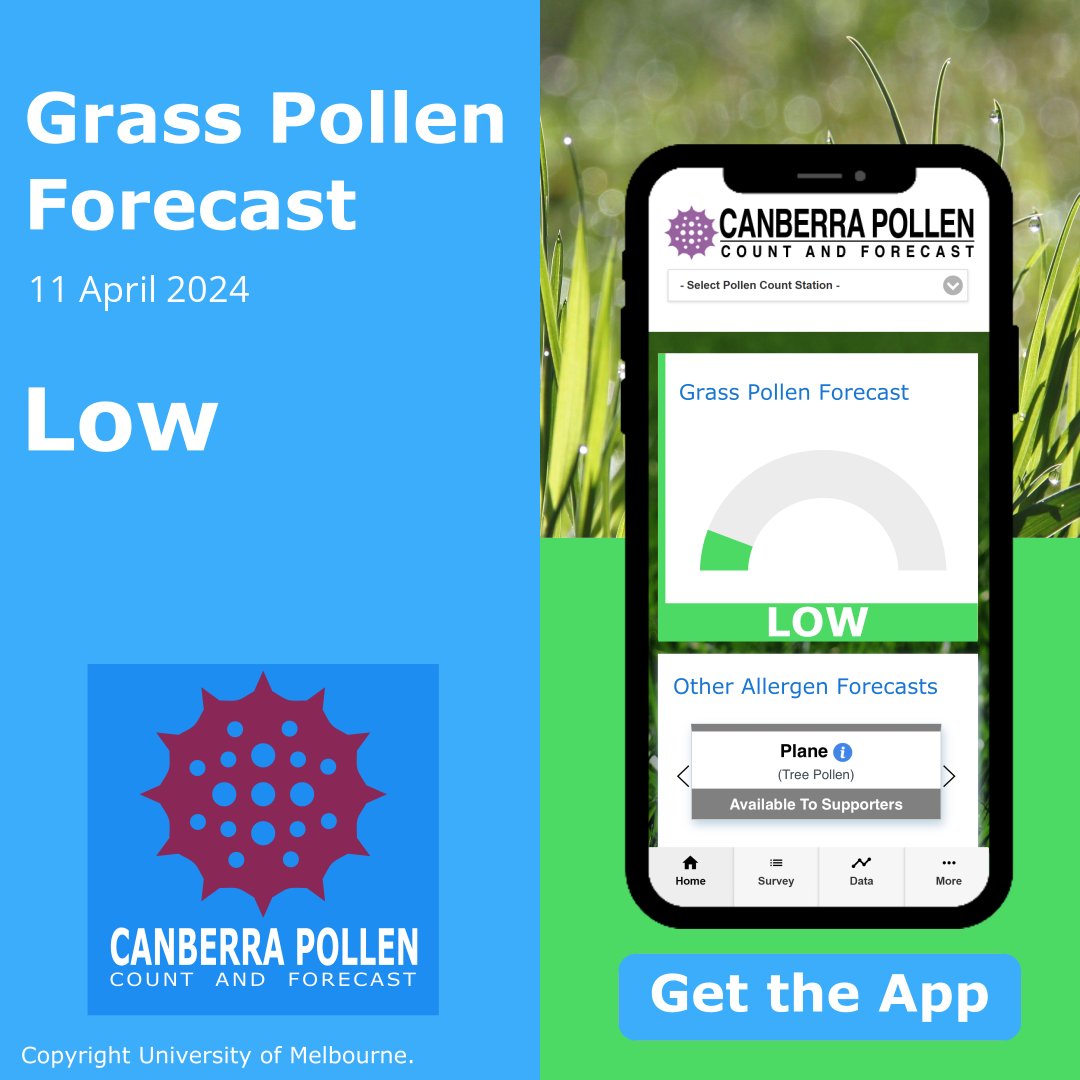 #Canberra grass #pollen forecast for today (Thursday, Apr 11) is Low. Get the App for more pollen forecasts: bit.ly/canberrapollen