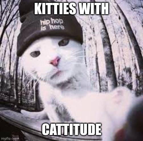 CatDc39641's tweet photo. Keep it real 

https://t.co/qBBRixT48Z https://t.co/gq4haBtymi