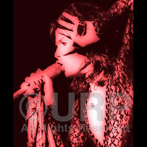 Steven Tyler of Aerosmith.

2024 Peace Out Tour starts 9/24.

This Art Print print looks amazing in size 11x14. 

Shop Art Prints of Rock 'N Roll Icons at UltimateRockPix.com

#aerosmith #steventyler #rockstar #80smusic #singer #concertphotography #artprints #ultimaterockpix