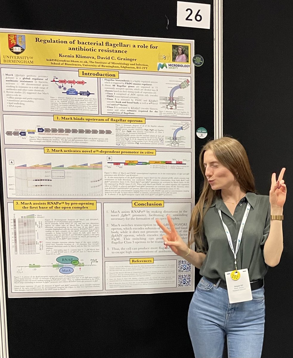 XenosInScience's tweet image. Was very glad to present my PhD research today at the @MicrobioSoc #MicroBio24
Thanks everyone who came today to see my poster, it was amazing to have such in depth discussions with you!