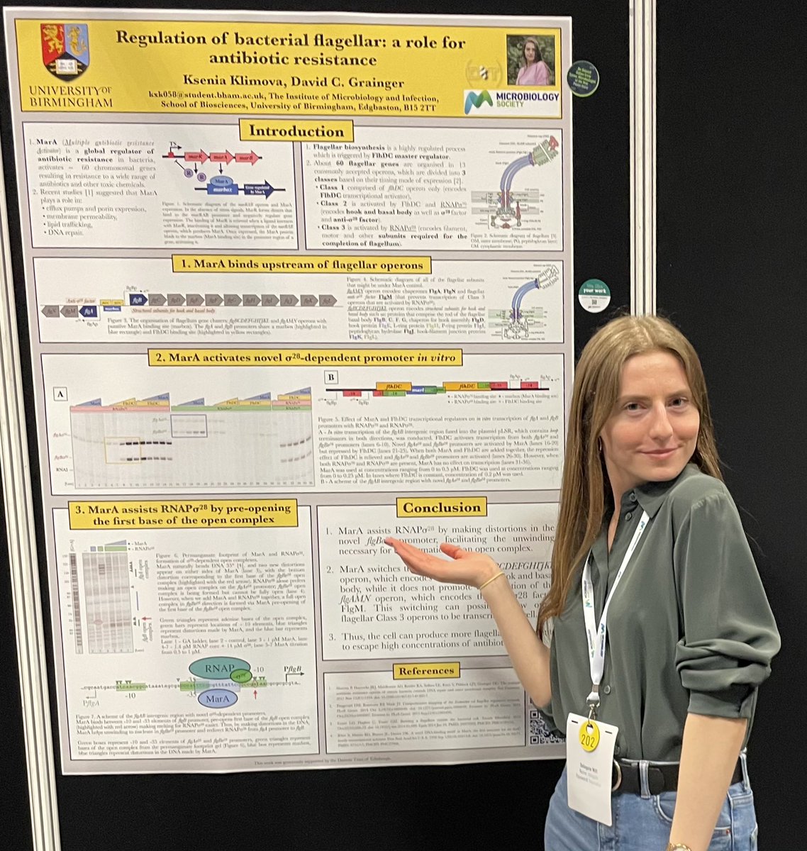 XenosInScience's tweet image. Was very glad to present my PhD research today at the @MicrobioSoc #MicroBio24
Thanks everyone who came today to see my poster, it was amazing to have such in depth discussions with you!