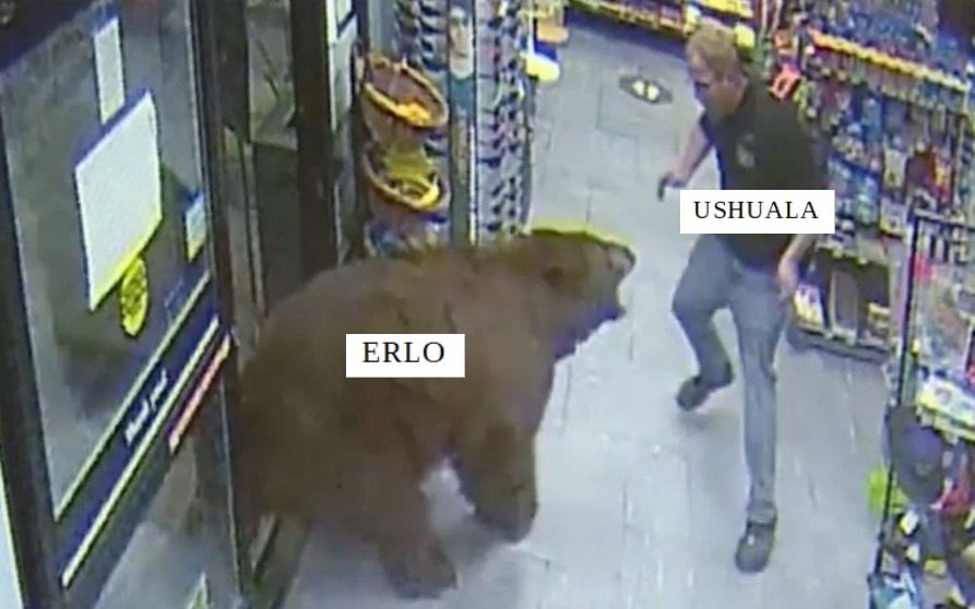 Big Aces eSports (@bigacesesports) on Twitter photo 