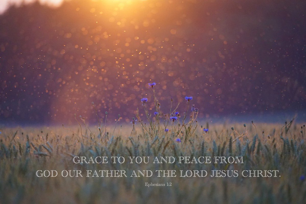 Grace to you and Peace from God our Father And the Lord Jesus Christ. Ephesians 1:2 spiritualdimensions.blogspot.com/2024/04/chosen…