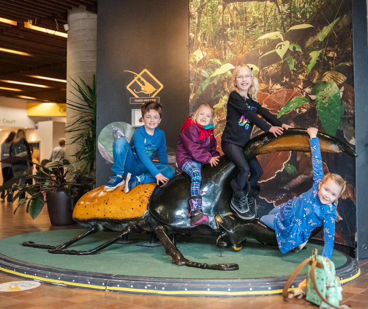 Time is running out to see Nature's Superheroes: Life at the Limits at RBG! 🦸‍♂️ Kindle your curiosity and learn about the abilities of creatures who defy the odds in the wildest ways. Hurry, the adventure ends soon! April 21 is your final chance to visit: rbg.ca/exhibit