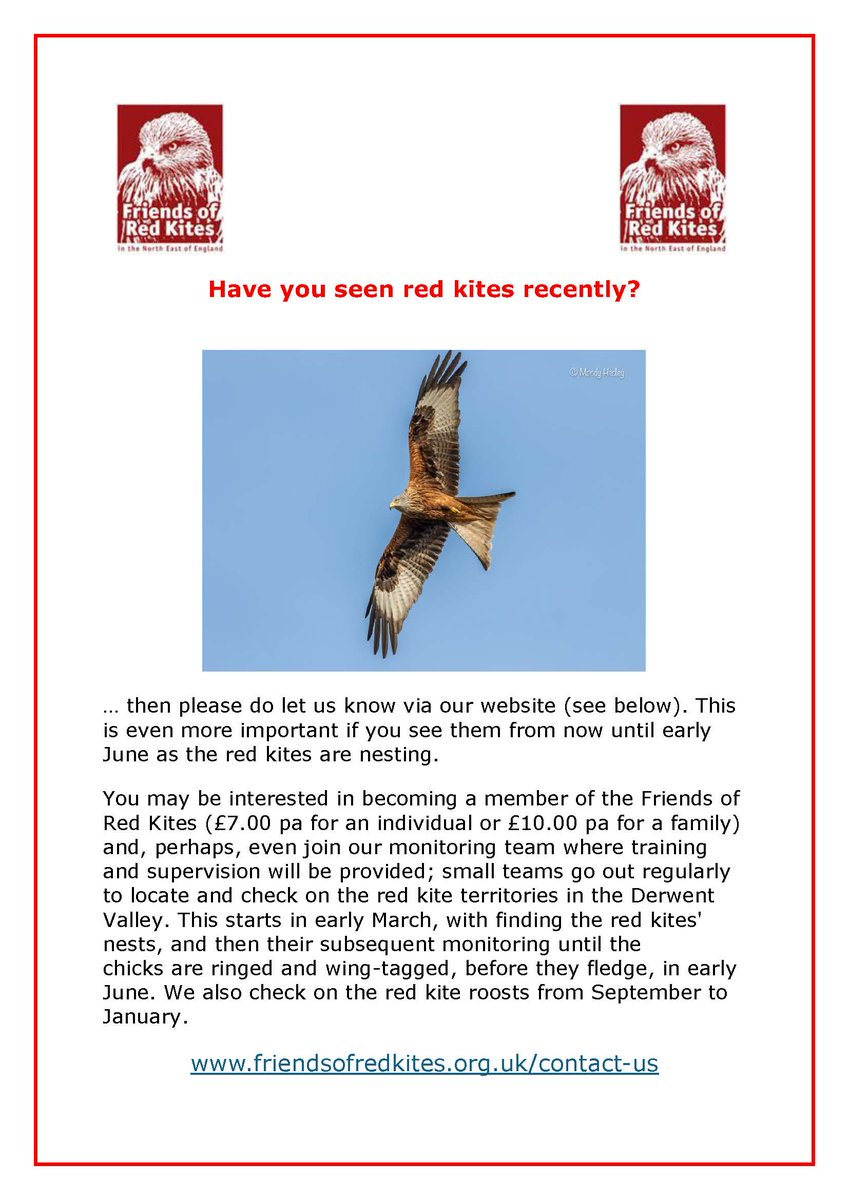 Friends of Red Kites tweet media