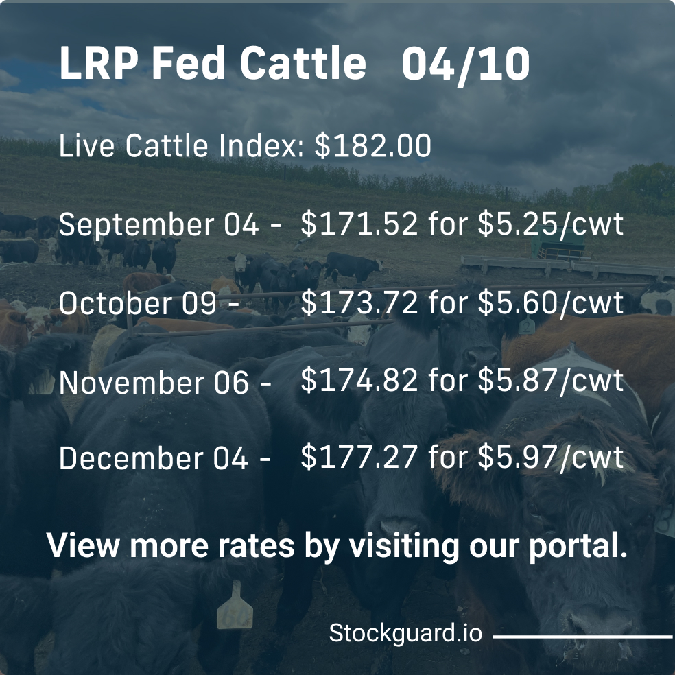 Stockguardinfo's tweet image. Wednesday, April 10th LRP Rates: Stay current on today&apos;s live and feeder cattle rates–don&apos;t fall behind on the market! View live rates: hubs.ly/Q02st13D0

#LivestockRiskManagement #RiskManagementTools #LivestockSafety #FarmersProtection #LivestockInsurance