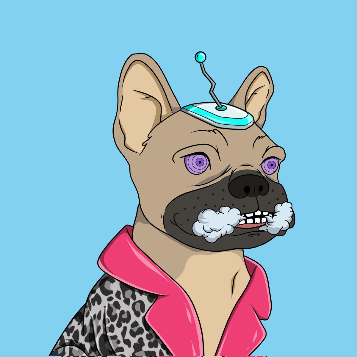 bundabl's tweet photo. @rarible @base #defidogs by #defido @defidotoken https://t.co/FloXXo5qia
