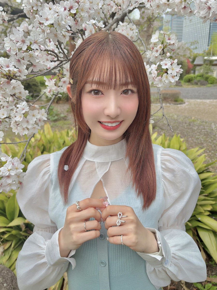 🌸さくら🌸 (@sakura_1120_a) / Posts / X