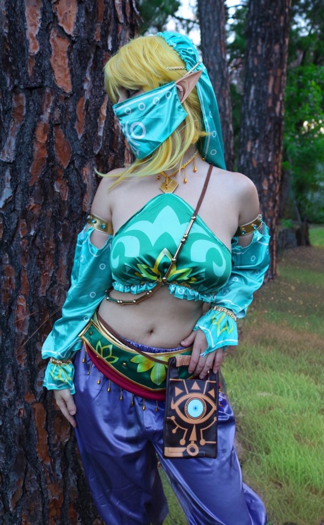 Gerudo Link