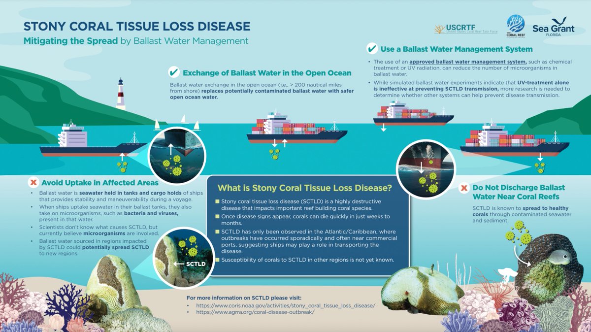 NOAA Coral Program (@noaacoral) on Twitter photo A new infographic from <a href="/FloridaSeaGrant/">Florida Sea Grant</a> explains how Stony Coral Tissue Loss Disease (SCTLD) can spread and steps that can be taken to reduce the risk. #SCTLD has led to major declines in coral cover and continues to spread rapidly.
Learn more: coris.noaa.gov/activities/sto… A new infographic from <a href="/FloridaSeaGrant/">Florida Sea Grant</a> explains how Stony Coral Tissue Loss Disease (SCTLD) can spread and steps that can be taken to reduce the risk. #SCTLD has led to major declines in coral cover and continues to spread rapidly.
Learn more: coris.noaa.gov/activities/sto…