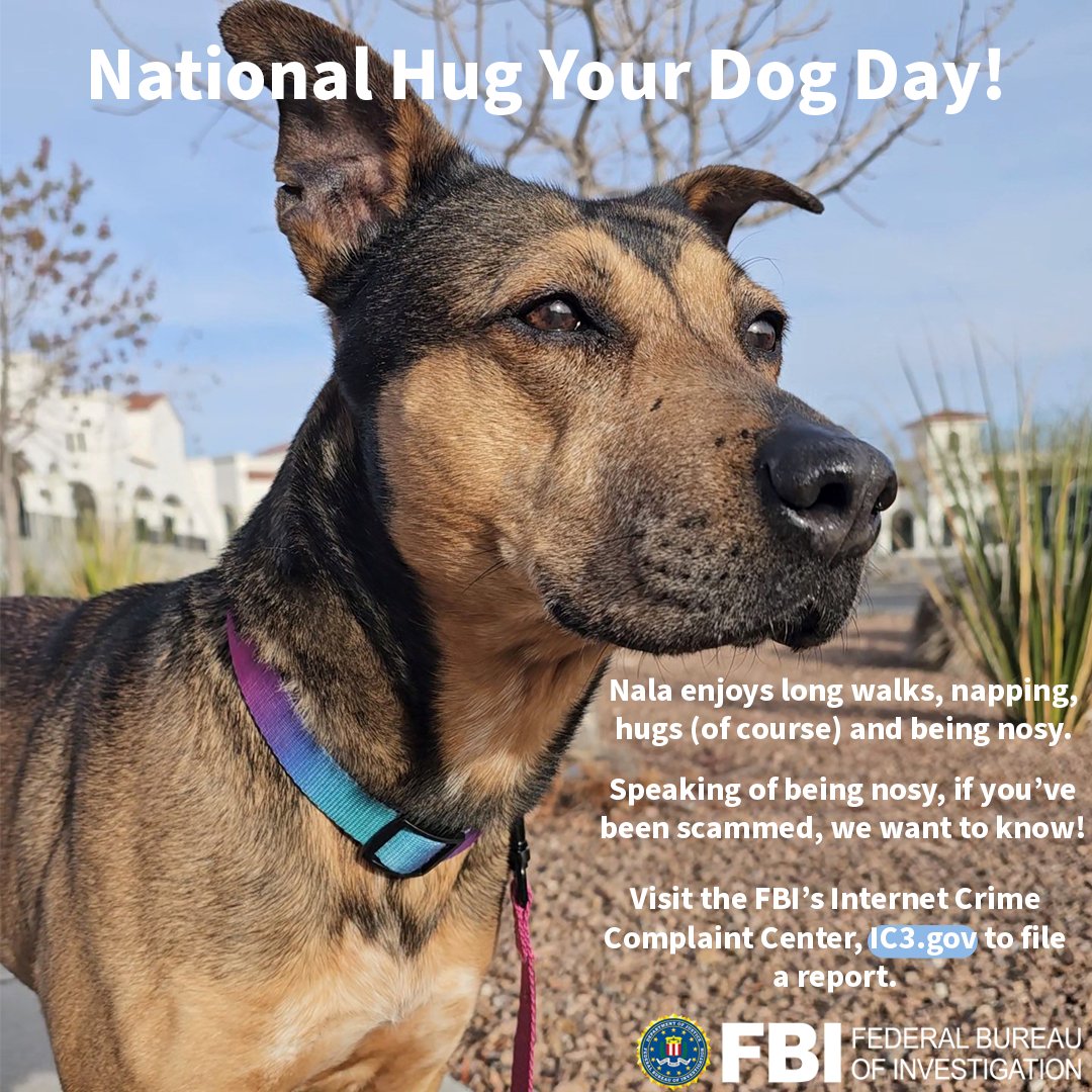 On this #NationalHugYourDogDay, meet Nala. She likes long walks, hugs, napping, and being nosy. Because she's nosy, she wants you to report to the #FBI IC3.gov if you've been a victim of a scam.