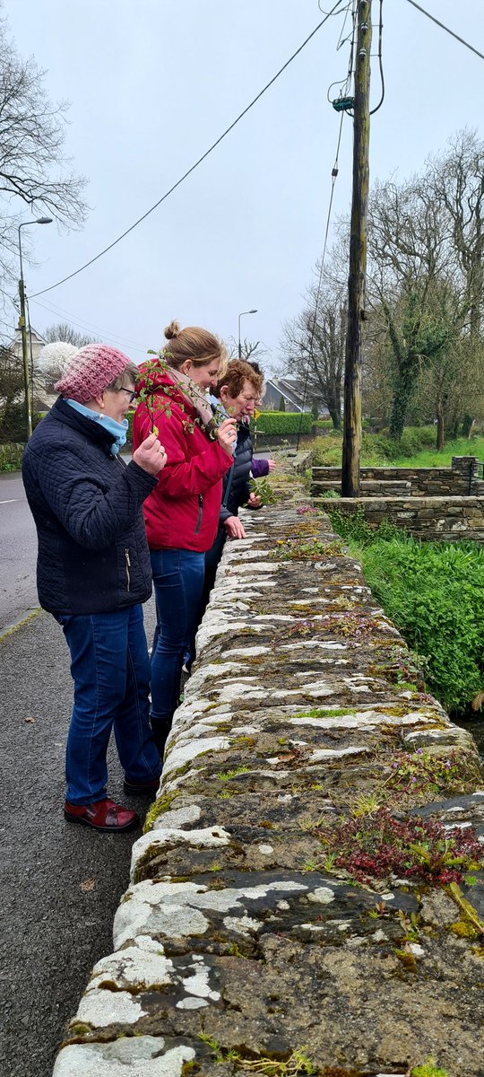 The @learning_fest started today & #Siúlóid@CCRC marked this by hosting 'Room 101 - Learning to Ground Yourself'. A morning of learning, relaxing, health & productivity with Gemma Kingston of @Shineonlineirel 🌿💚 #getcorkwalking #groundyourself #support #community #outdoors