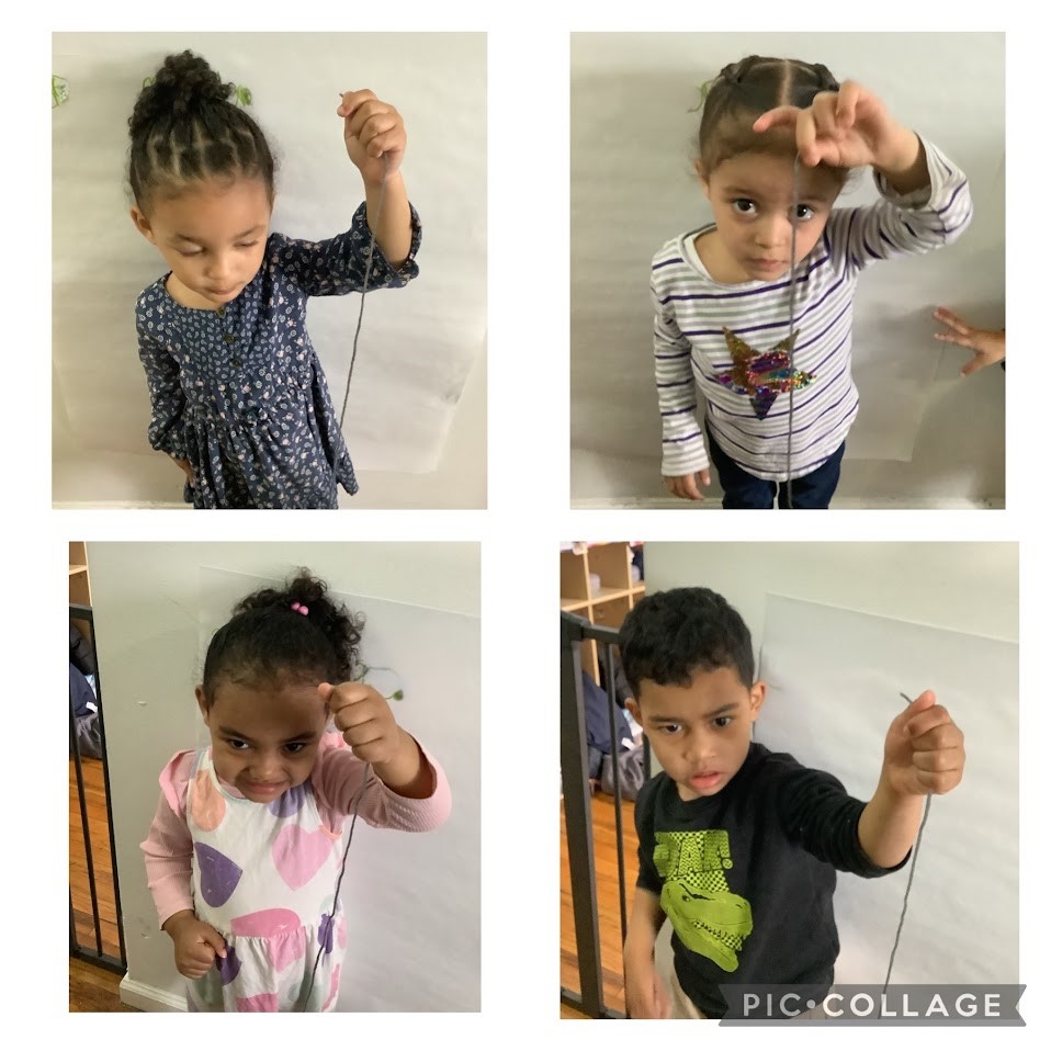 Today our friends cut out string to use as a measuring tool. We measured up each of our friend's height to display our growth.
#playfuldiscoveriesii #groupfamilydaycare #daycare #nycdaycare #preschool #nycpreschool #earlylearning #earlymath #growthchart #measurements #heightcheck