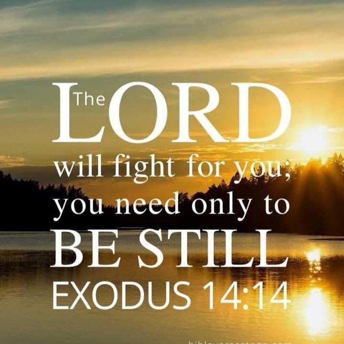 Exodus 14:14 The LORD shall fight for you, and ye shall hold your peace. AMEN