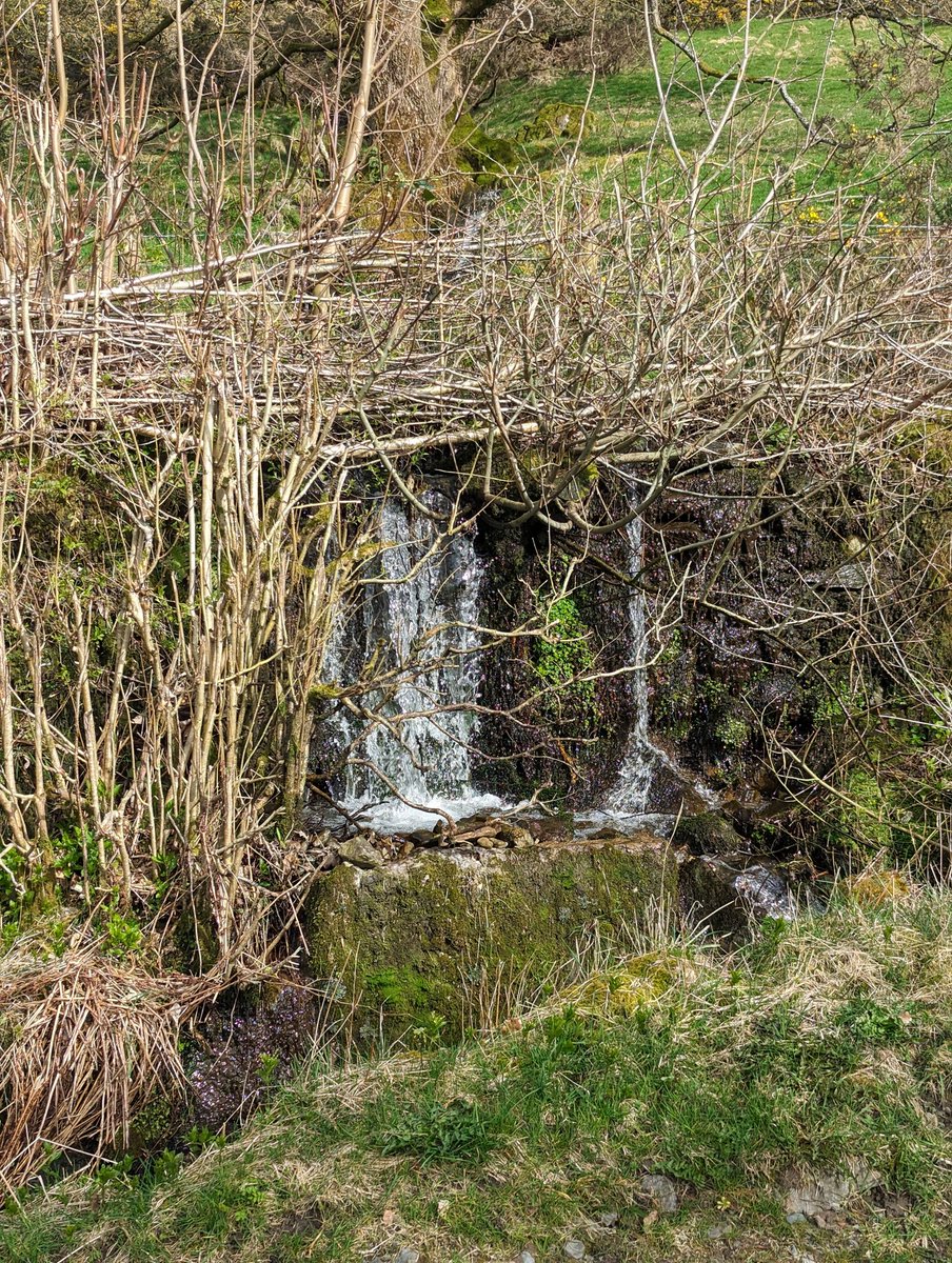 This wall has sprung a leak