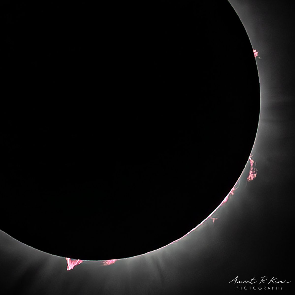 The incredibly intricate and beautiful solar prominences &amp; flares from Monday's eclipse! 
The large prominence at the bottom left was visible with the naked eye at totality from our site in Indy!
Canon R6, RF100-500 at 500mm, f/7.1, ISO 400, 1/6400s
#Eclipse2024 #SolarEclipse2024