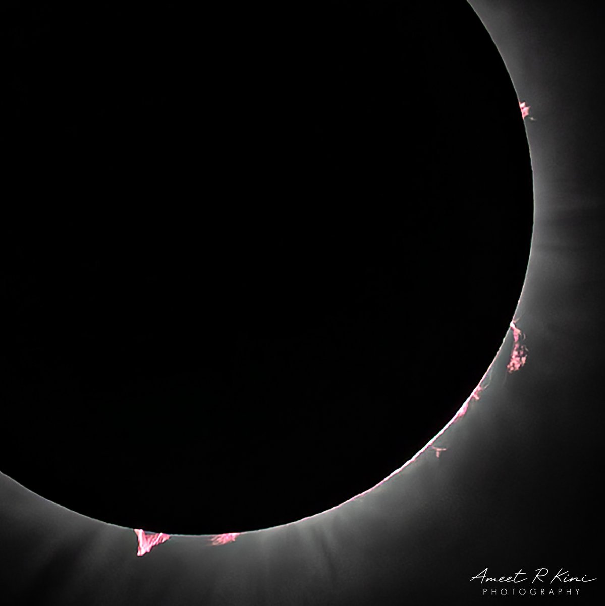The incredibly intricate and beautiful solar prominences & flares from Monday's eclipse! The large prominence at the bottom left was visible with the naked eye at totality from our site in Indy! Canon R6, RF100-500 at 500mm, f/7.1, ISO 400, 1/6400s #Eclipse2024 #SolarEclipse2024