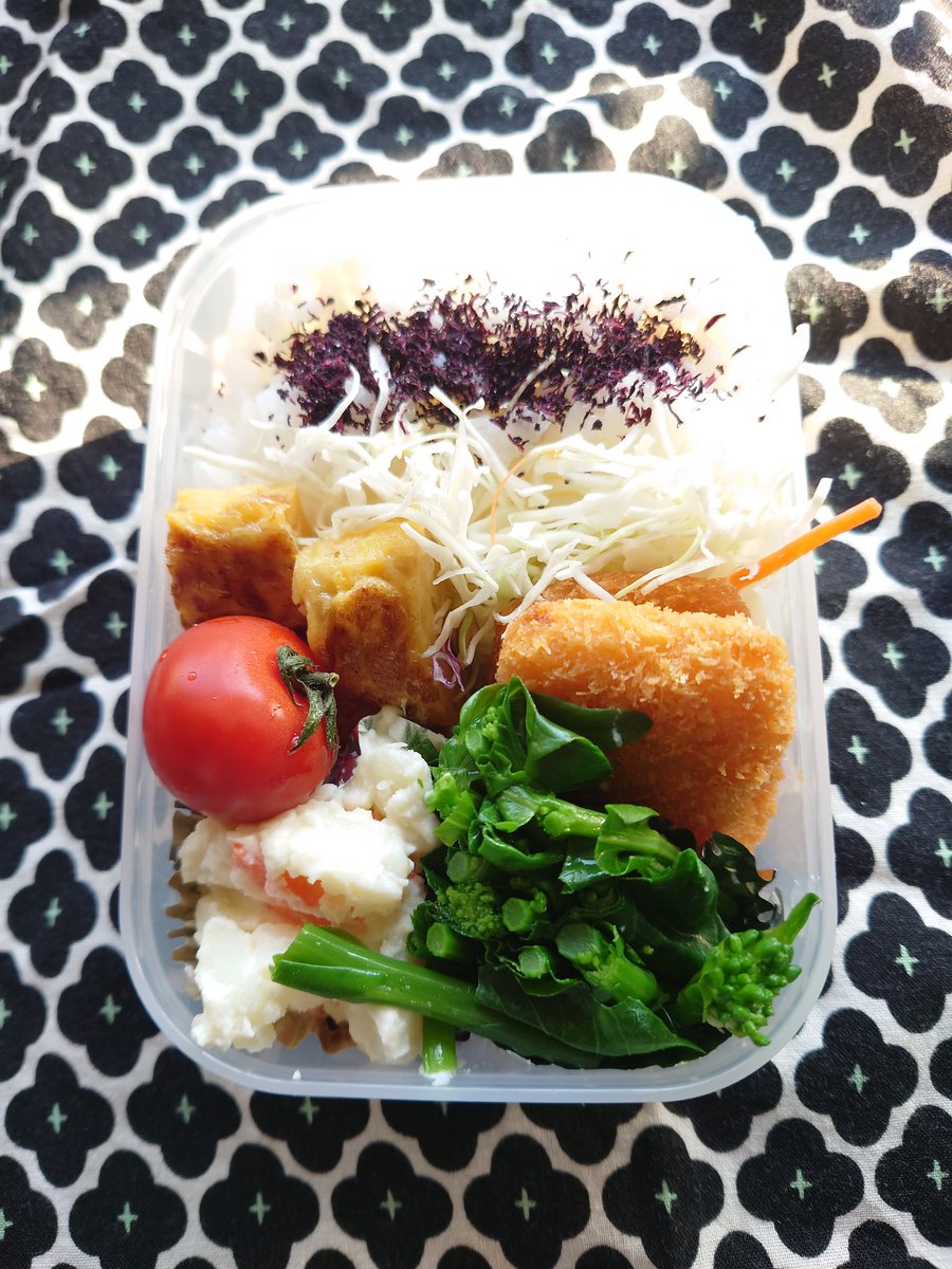 zugu01's tweet photo. 今日のお弁当
#お弁当記録 #お弁当 https://t.co/jec0iOphRG