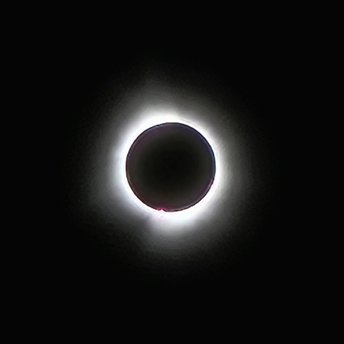 Ariadne Ambrosia tweet media