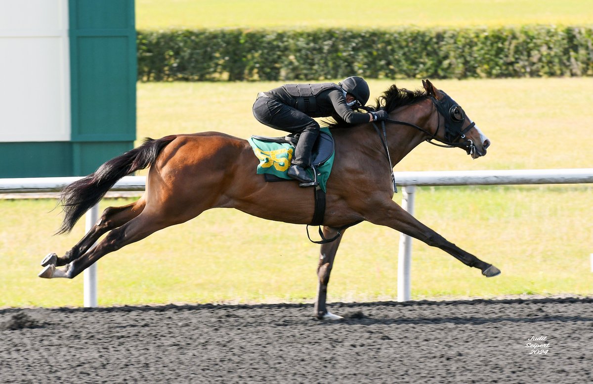 Inside This Issue of Wire to Wire • Instagrand Filly Clocks Fastest Quarter Mile During Wednesday OBS Breeze Show @OBSSales • FTBOA Board Member Spotlight – Milan Kosanovich • OBS Under Tack Show Times • Florida-Bred National Entries/Results Site Unveiled • Florida-breds in…