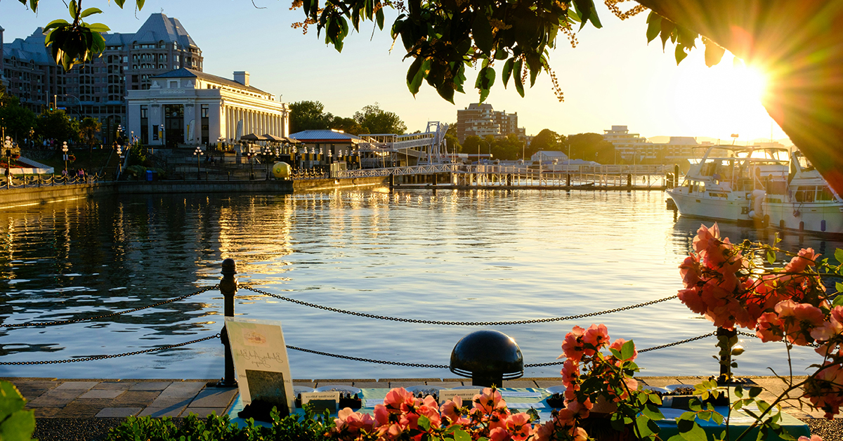 The @UBCCPD Island Medicine Conference is coming up May 3-4 in #yyj. Conference focuses are Updates, Skills and Networking. Looking forward to connecting, networking and learning from the keynote speakers. ubccpd.ca/learn/learning… #islandmedicalconference