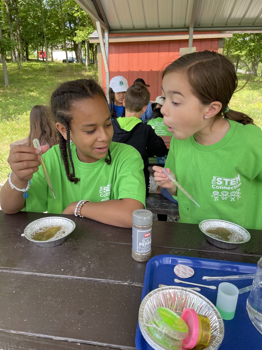 The STEM connection tweet media