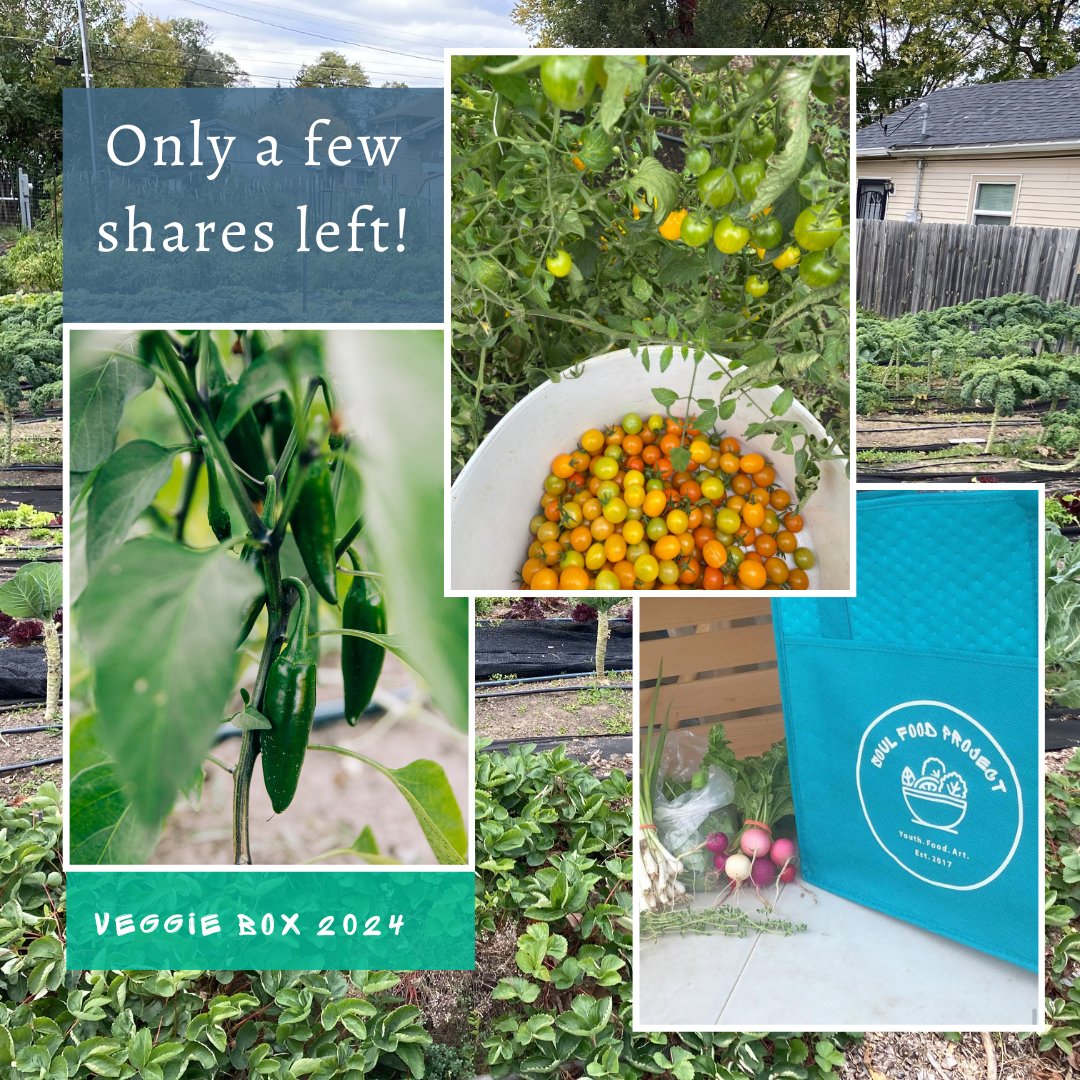 There are only a few more spots left in our CSA share program, Veggie Box!

It's easy to eat healthy, affordable, and local with Veggie Box!  

soulfoodprojectindy.org/veggiebox

 #CSAShareProgram #VeggieBox #SNAPBenefits #EBTPurchase #LocalProduce