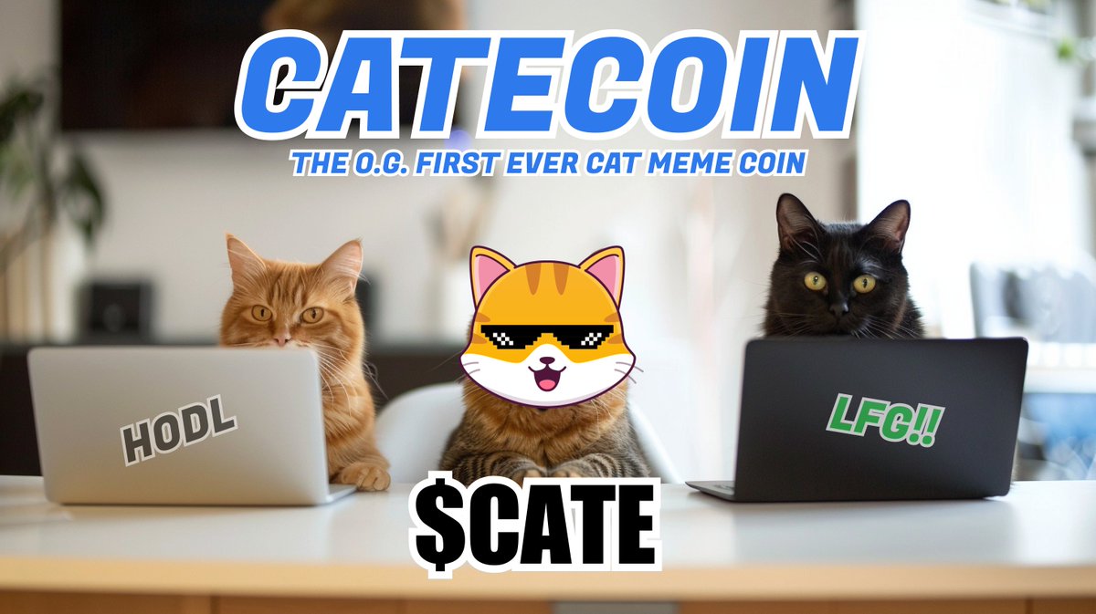 At #CateCoin HQ: Only plans + actions to boost our beloved $CATE 😻 #NFTs #P2E #LUDO #Launchpad #memecoin