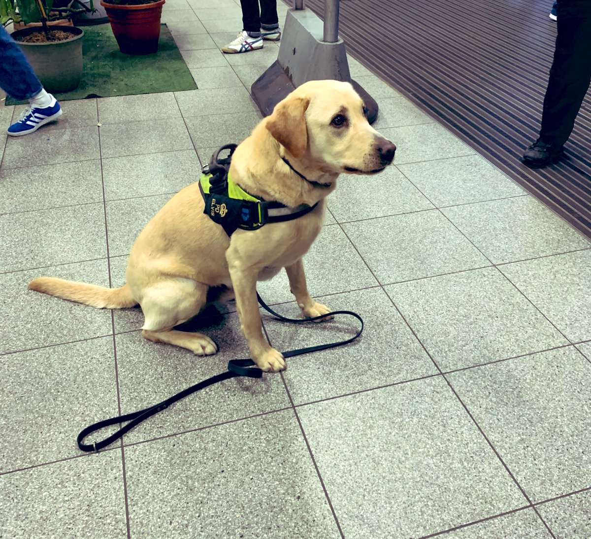 This afternoon our officers have been working along side other colleagues from @BTPLondon and officers from @CityPoliceDogs at #FinsburyPark Station. Our police medics also helped to provide intel medical treatment prior to @Ldn_Ambulance arriving 🚨 #jointworking