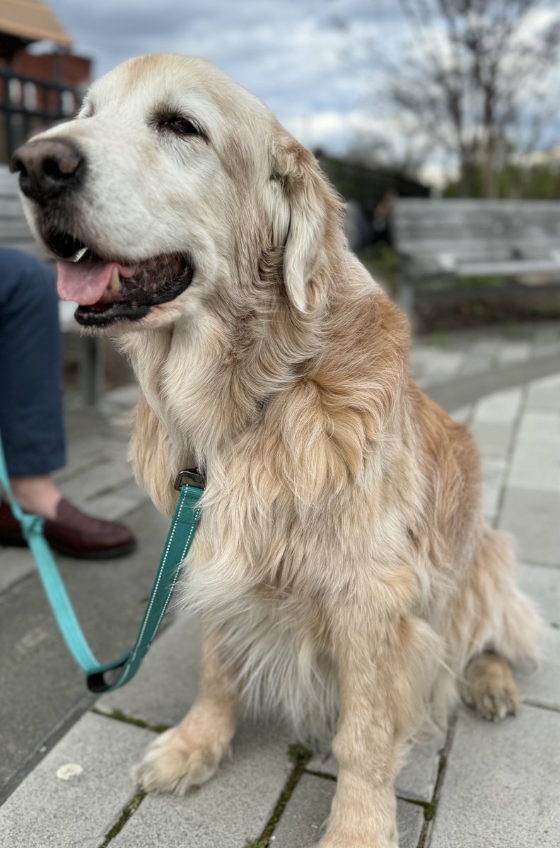 Your #dailywally hopes you enjoyed this nice spring day