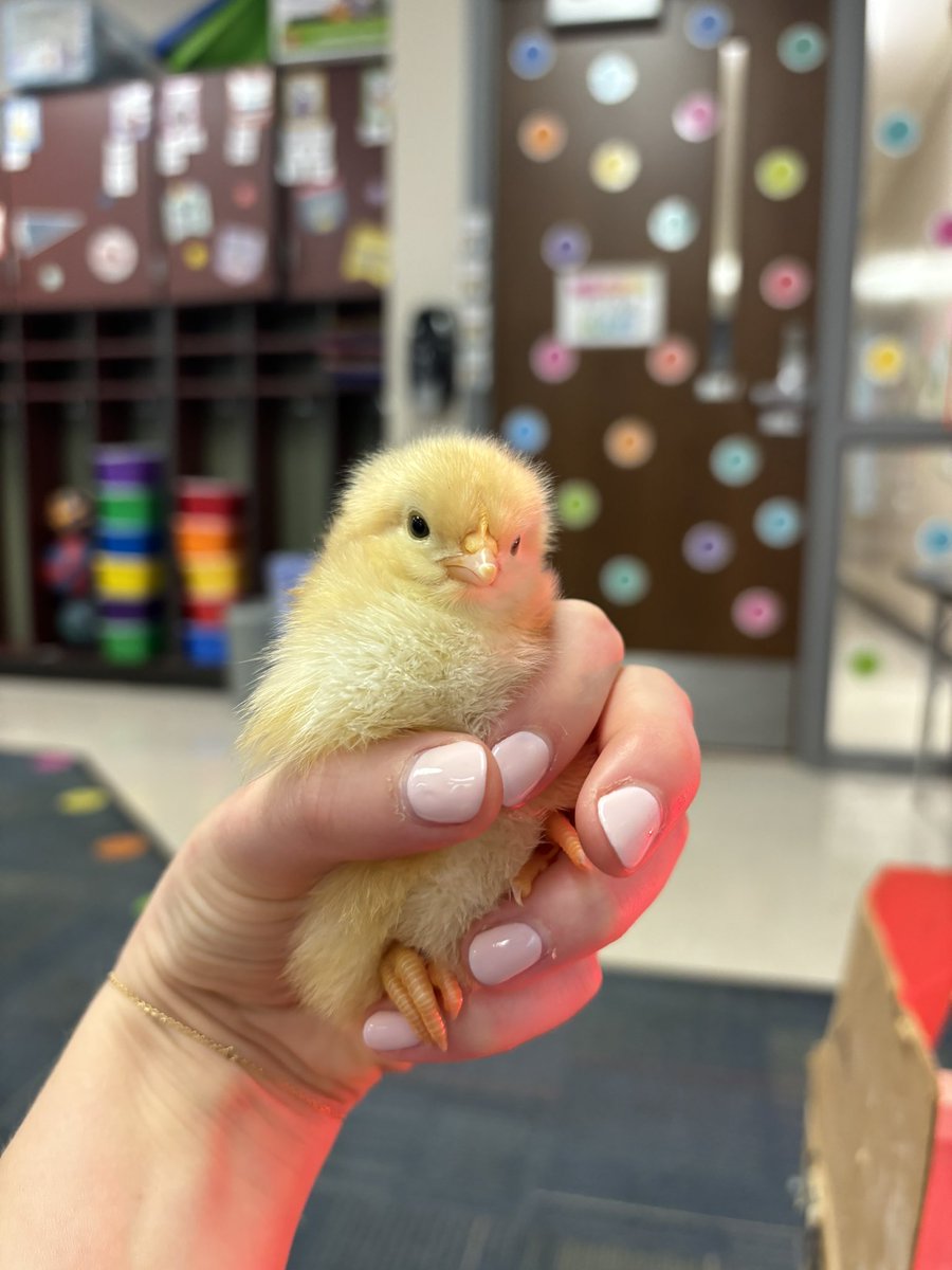 Logan Gregory tweet media