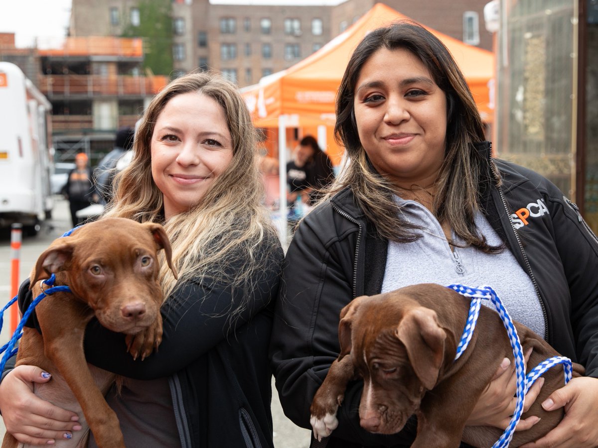 Today, the @ASPCA celebrates 158 years of dedication and growth as an organization. We are grateful for the support we receive, especially from those in the animal welfare field. For more information on careers with the ASPCA, apply here. #AnimalWelfare 👇 careers.aspca.org