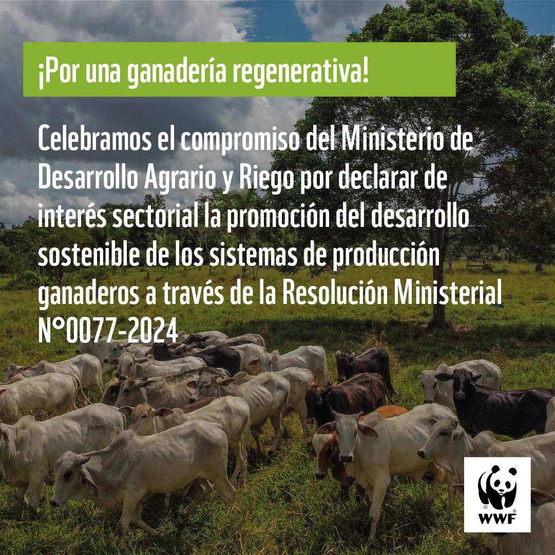 Celebramos el compromiso del Ministerio de Desarrollo Agrario y Riego @midagriperu por declarar de interés sectorial la promoción del desarrollo sostenible de los sistemas de producción ganaderos a través de la Resolución Ministerial N°0077-2024 #JuntosEsPosible