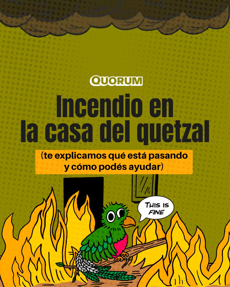 QuorumGT's tweet photo. 🚨🔥 El incendio cerca del Biotopo del Quetzal todavía no termina. 

El fuego no solo pone en riesgo al ave nacional sino a otras especies que ahí viven. Las autoridades y los pobladores siguen luchando contra las llamas. 🌳

💪🏽Vos podes ayudarlos. Acá @Davidck7 te explica 🧵 https://t.co/toeI1TaMDC