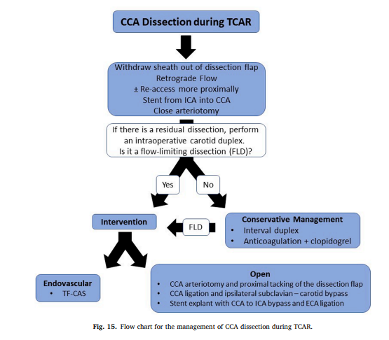 Big congrats to @hopkinssurgery fellow @AruRobbie for spearheading this effort describing our experience with #CarotidDissection during #TCAR. We hope there are lots of valuable tips here to prevent this rare but very morbid complication! #CarotidEd sciencedirect.com/science/articl…