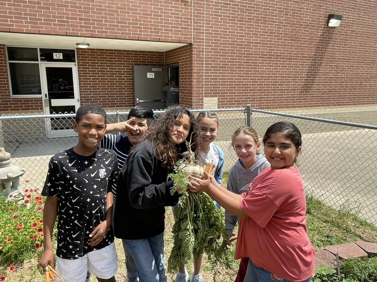 We harvested a huge purple top turnip today!!! @KirkElementary @readygrowgarden @kah99a