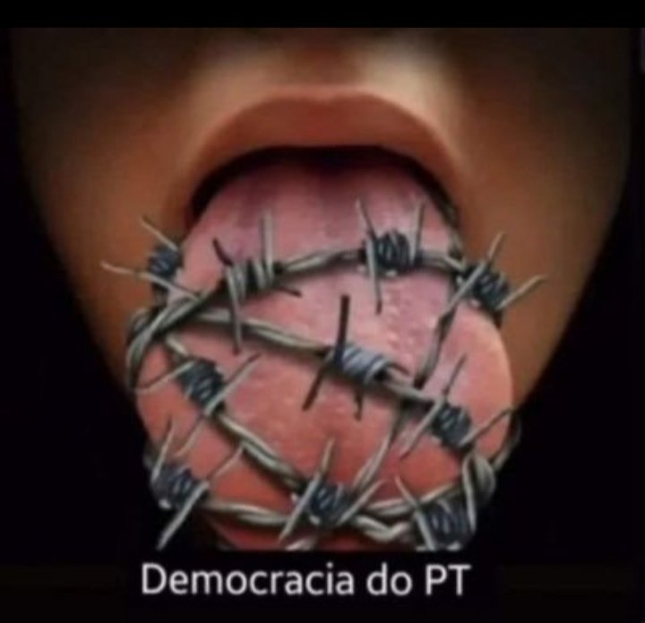 Esquerdalhas adoram essa democracia!