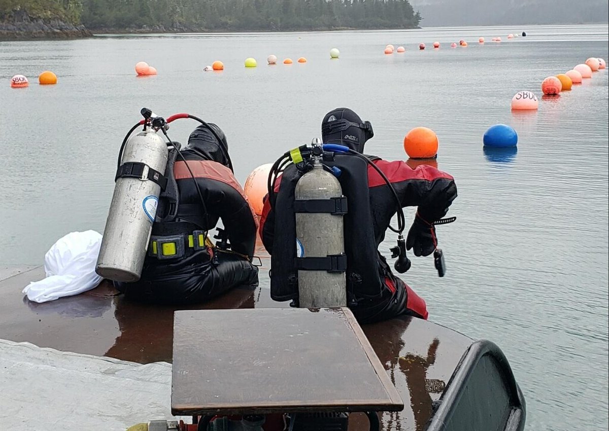 Alaska EPSCoR (@alaskaepscor) on Twitter photo <a href="/NSF/">U.S. National Science Foundation</a> has awarded the next 5-year, $20 MIL <a href="/alaskaepscor/">Alaska EPSCoR</a> award, "Interface of Change!" This statewide collaboration investigates climate change effects on culturally and commercially important marine species in the Gulf of Alaska.
Read more: bit.ly/ioc-announced <a href="/NSF/">U.S. National Science Foundation</a> has awarded the next 5-year, $20 MIL <a href="/alaskaepscor/">Alaska EPSCoR</a> award, "Interface of Change!" This statewide collaboration investigates climate change effects on culturally and commercially important marine species in the Gulf of Alaska.
Read more: bit.ly/ioc-announced