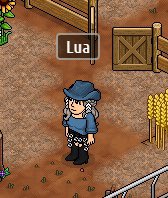 Lua 🌙 tweet media