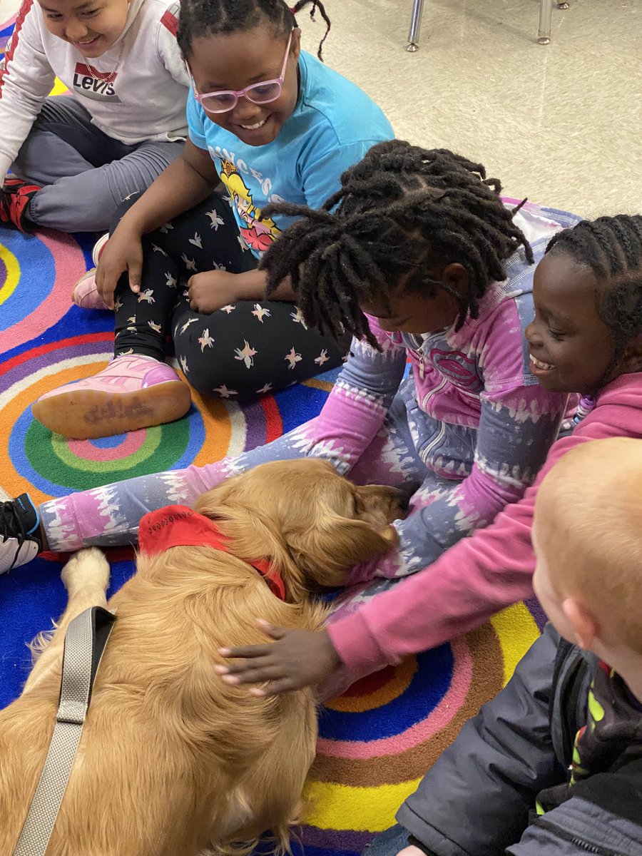 JustineReat's tweet photo. I don’t think it’s a coincidence that our class had an amazing day after starting the morning meeting and reading with our HABIT dog Knox! @GMASteam https://t.co/t5VmrJAme5