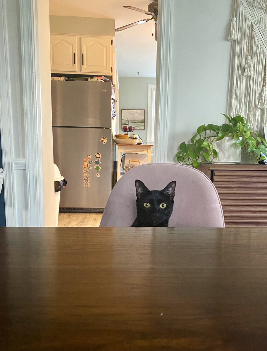 whenever I sit down for dinner