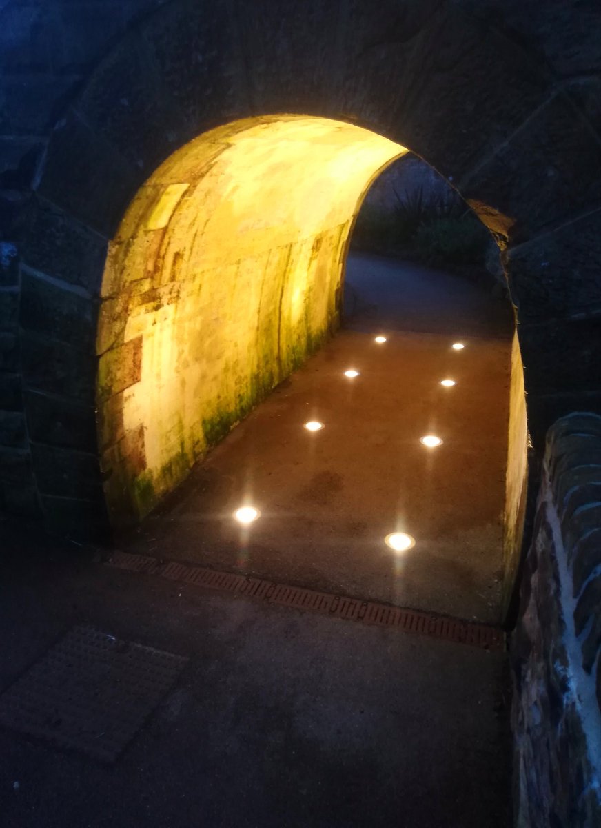 #WednesdayWalk PT4
#OutdoorAdventures
#walk #Flowers #tunnel