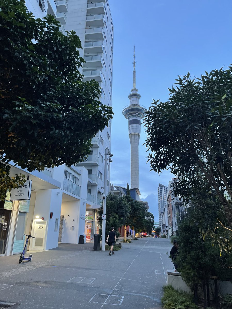 New street trees are thriving on Federal Street outside the City Mission. Canopy closure not far off at this end of the street. We know how and have demonstrated we can do this for all the benefits this brings, so how can we do more and make it BAU? #greeninfrastructure