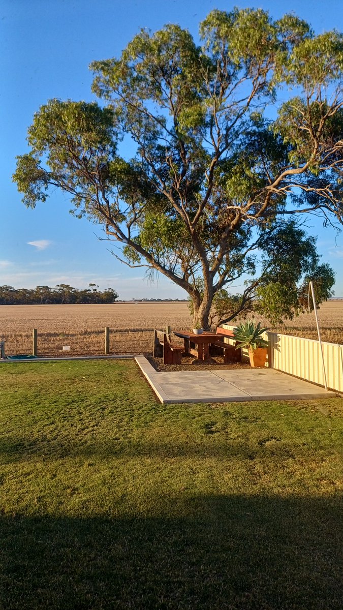 Ben Work tweet media