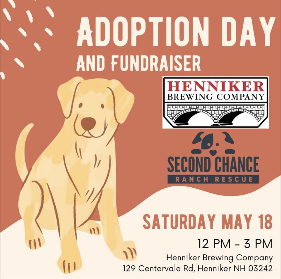 HBC has 2 dog adoption events coming up! 🐶🍻