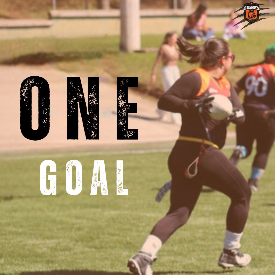 csdtigres's tweet photo. ONE GOAL 🏈🏁

.

.

.

1..2..3 Tigres 🐯

#flag #Flagfootball #flagislife #flagislove #oneteam #onevision #onegoal #Tigres #tocho #tochito #tochobandera #Guatemala #football #girls #NFL https://t.co/VSJX6K1LyT