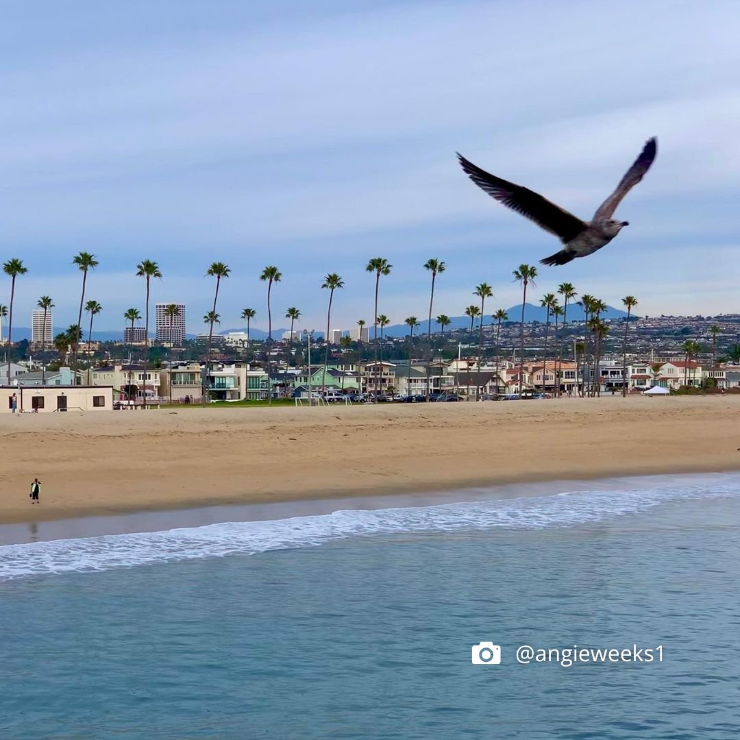 Join us for the IMPACT Council’s #beachcleanup at #NewportBeach on May 4th, 8:00 AM - 12:00 PM. We’re partnering with The Charitable Foundation & the Surfrider Foundation to preserve our coast. Check these IG photos for more. Scan the QR code to sign up. #wanderlusting