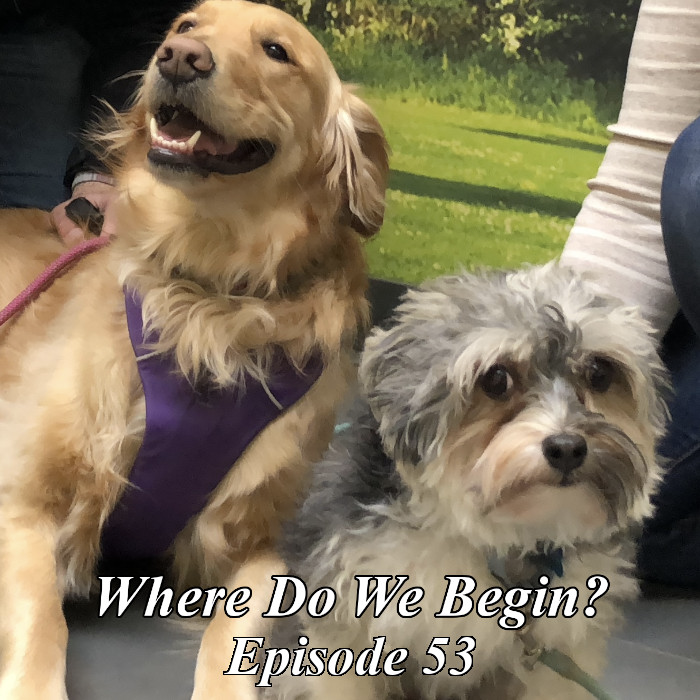 will_we_are's tweet photo. Episode #53 of Where Do We Begin? is OUT NOW!!

Baaulp really is alright and probably the most acceptable member of RTVS. In Episode "KID Osha", we are joined by guest @mirakurutaimu and things get nasty nasty. search 'wayneradiotv' or head to the link below to listen now! https://t.co/WhsvHOUaQ9